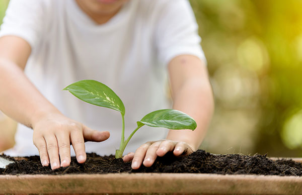 Gardening - Yooze - Inglês para crianças e adolescentes